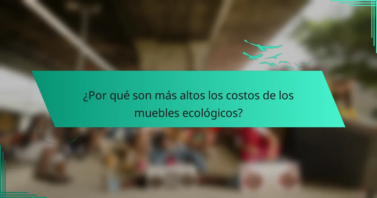 ¿Por qué son más altos los costos de los muebles ecológicos?